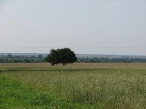 Greenwich Meridian Marker; England; Cambridgeshire; Bluntisham